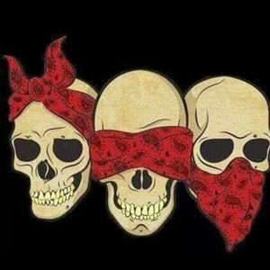 Meet your Posher, Jay